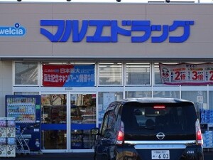 ドラックストアー(周辺)