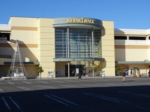 けやきウォーク(周辺) けやきウォーク(周辺)